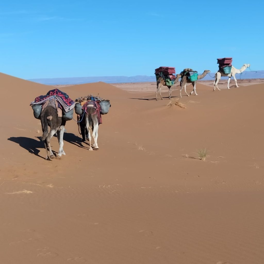 caravane cheri beri (121)