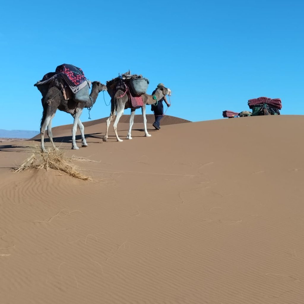 caravane cheri beri (123)