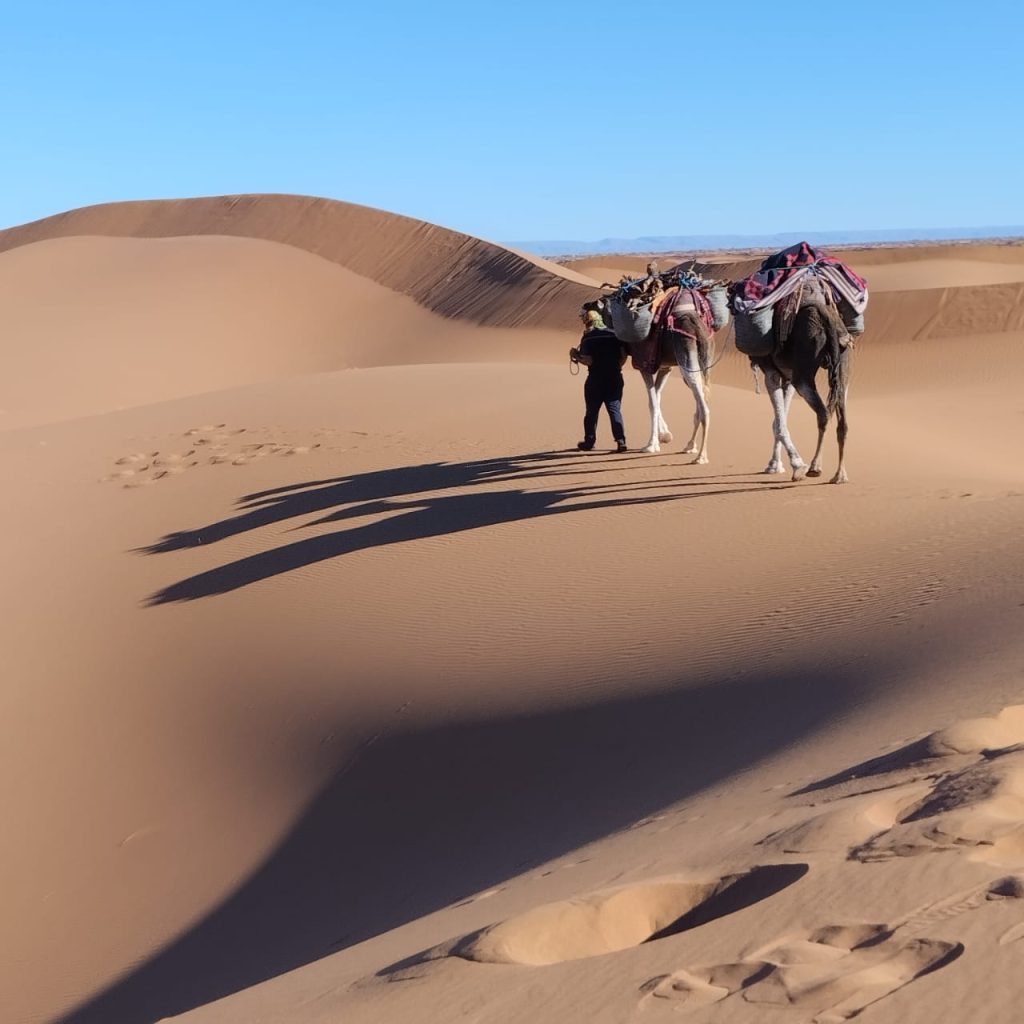 caravane cheri beri (124)