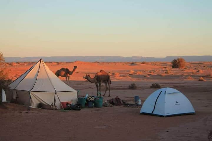 caravane cheri beri (28)