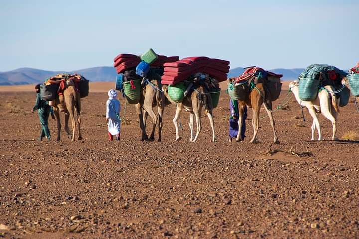 caravane cheri beri (51)
