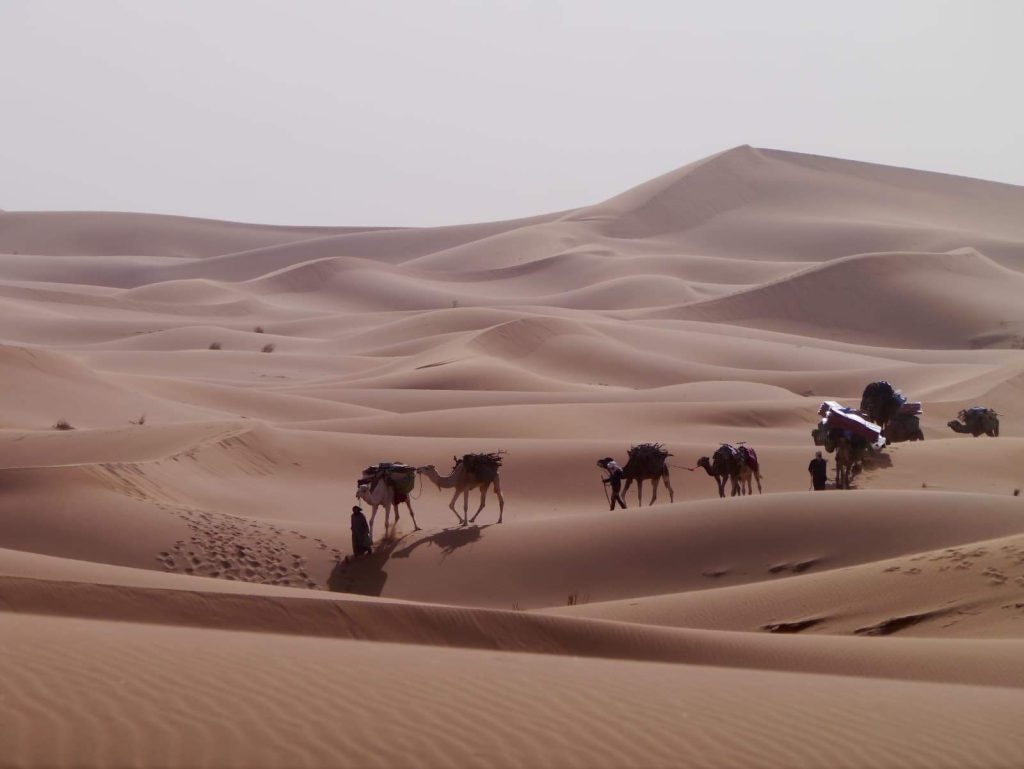 caravane cheri beri (8)